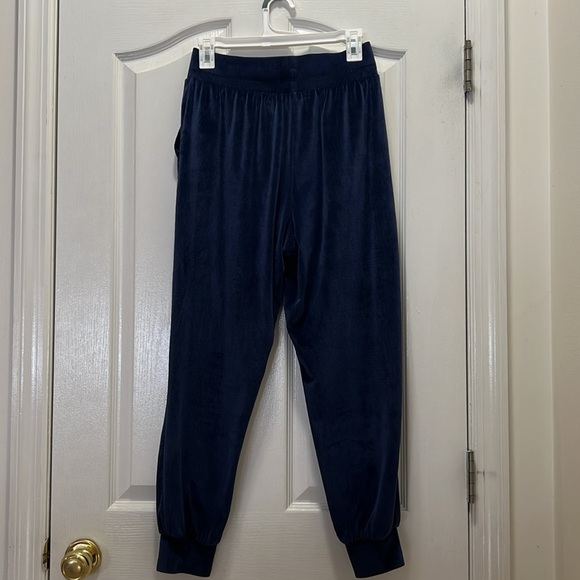 Victorias Secret On Point Velour Jogger Track Pant Size Small Blue - Picture 5 of 6